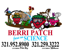 Berri Patch